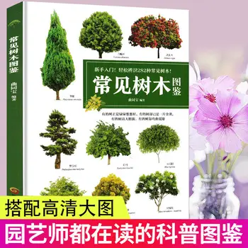 Илюстрация на обикновените дървета, книги за ландшафтному дизайн, илюстрация, градински цветя и дървета, книги за саженцам Дацюань, илюстрации на растения